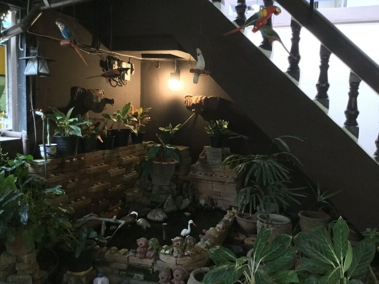 Albergue North Star Guest House
