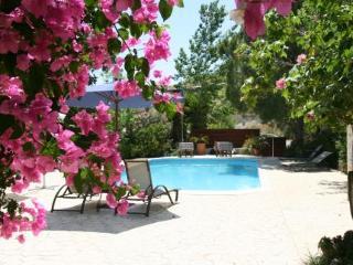 Vasilias Nikoklis Inn Agrotourism