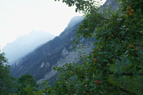Hotel Zur Schanz