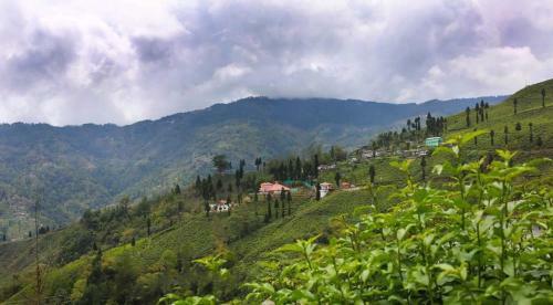 Hotel Chamong Chiabari - Mountain Retreat & Spa