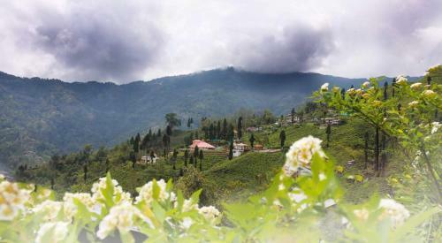 Hotel Chamong Chiabari - Mountain Retreat & Spa