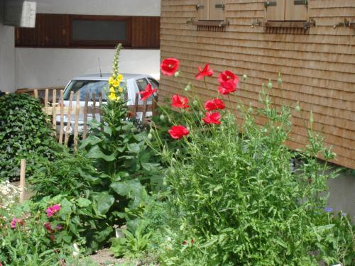 Agroturismo Ferienbauernhof Beer