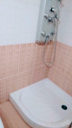 Hostal Palatino Studios