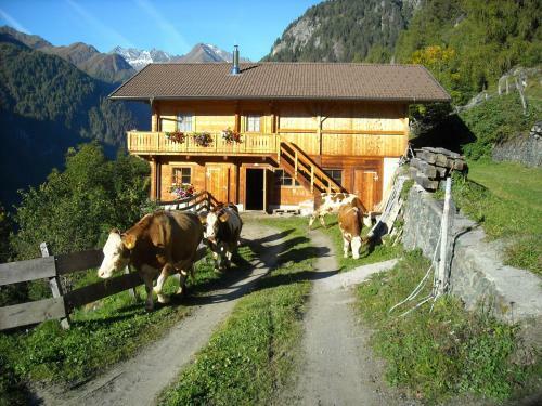 Agroturismo Hansenhof