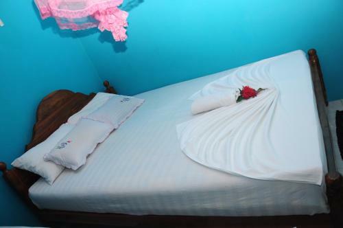 Hostal Levi's Tourist ? Anuradhapura