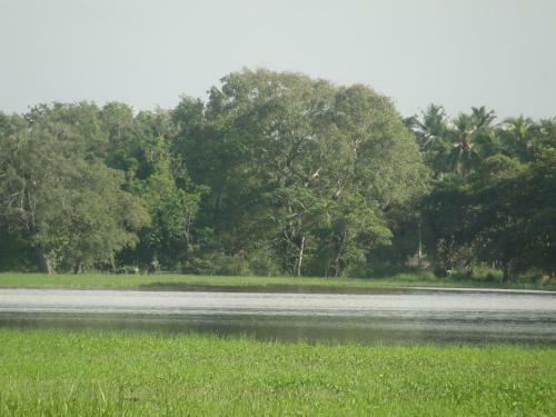 Bed & Breakfast Kulama, The Lake Villa