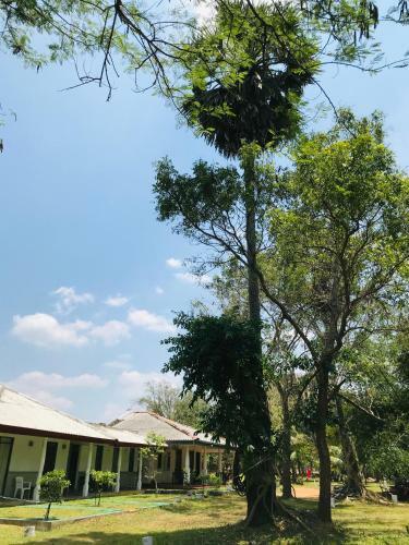Hotel Nelum Villa Holiday Resort