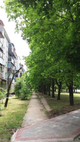 Apartamento ????????-?????? ???????? ????