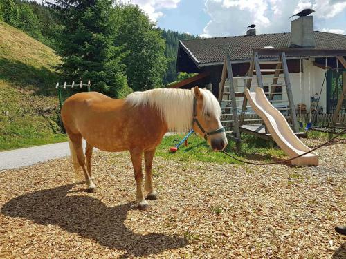Apartamento Almliesl Zell-448
