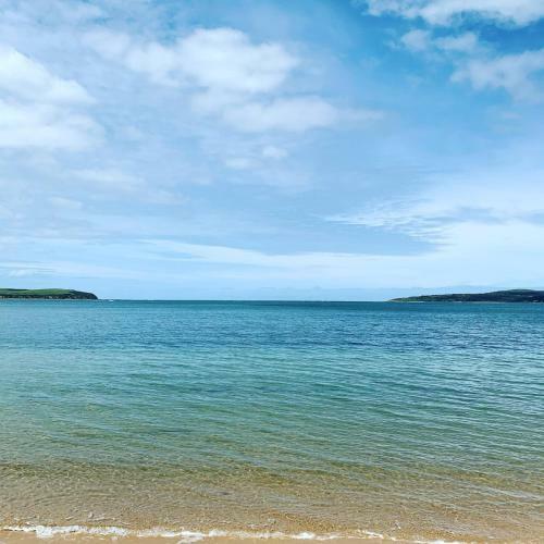 Bunya By The Sea