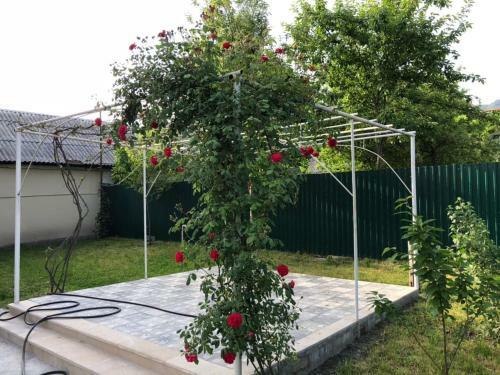 Qafqaz Rose Villa