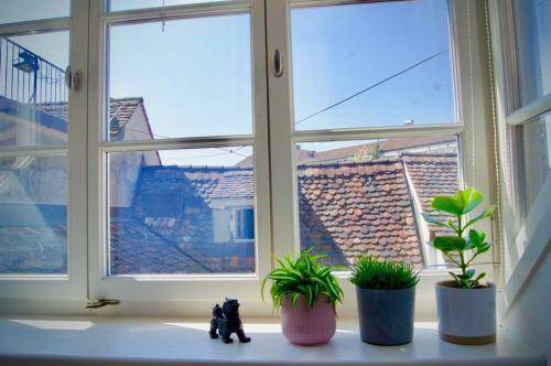 Apartamento In Swiss Home - Spalenberg University Loft