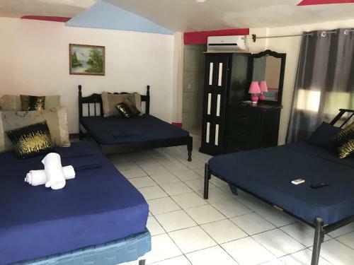 Hostal Hotel Cafe Del Mar, En Valle Pura Vida