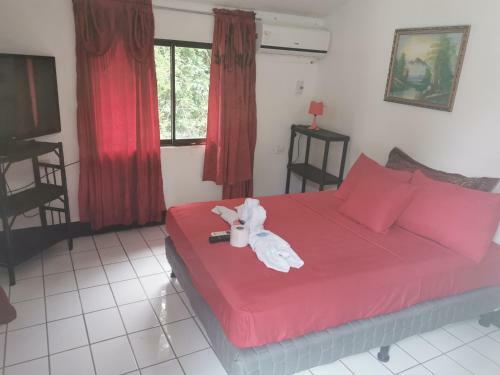 Hostal Hotel Cafe Del Mar, En Valle Pura Vida