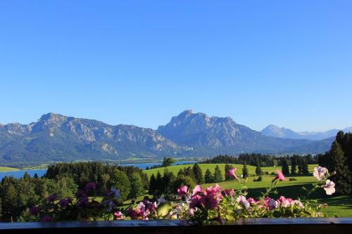 Landhotel Schwarzenbach - Wellness & Spa