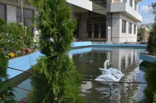 Dawa Hotel And Restaurant