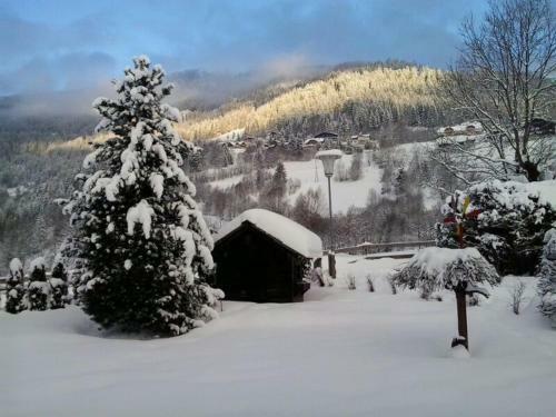 Hostal Appartement Pension Grasser
