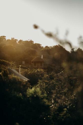 Bukela Game Lodge - Amakhala Game Reserve