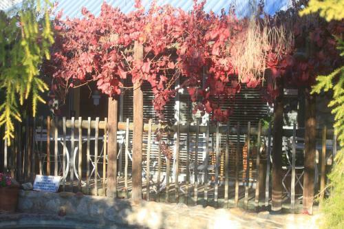 Bed & Breakfast Karoo Lodge