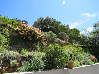 Bed & Breakfast Port Of Call