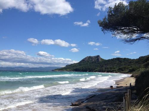 Beautiful Villa With Private Swimming Pool In Pignans