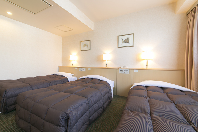 Hida Takayama Washington Hotel Plaza