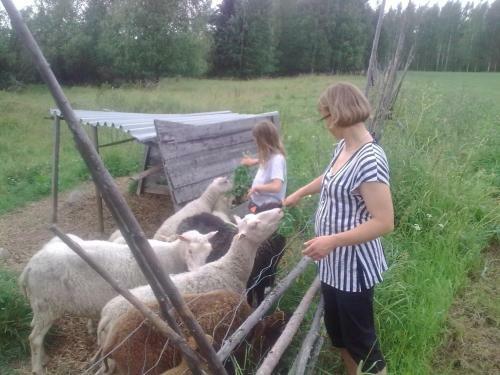 Lodge Hyv�l�n Talo