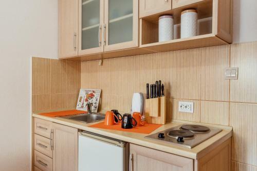 Apartments ?osovi?
