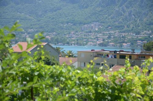 Apartments Dakovic