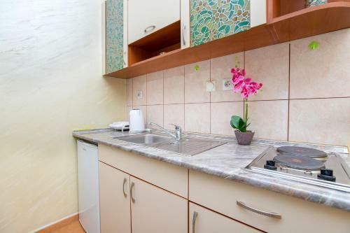 Apartments Vukotic I