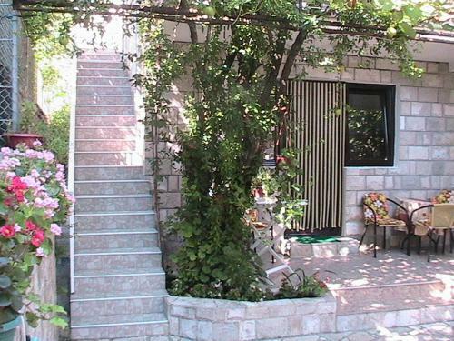 Apartments Penovic Stoliv Bay Kotor