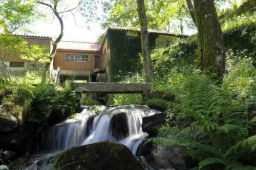 Casa Das Vinhas Cam�lias de Bastoturismo Rural