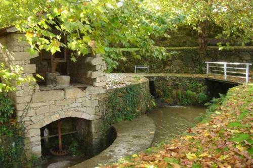 Casa Das Vinhas Cam�lias de Bastoturismo Rural