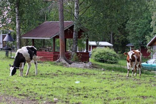 Agroturismo M�kel�n Lomatuvat Bed And Breakfast