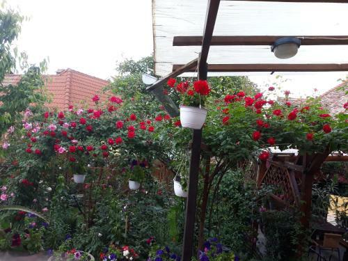 Hostal Pensiunea Cristina Si Pavel