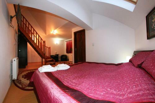 Hostal Pensiunea Elena
