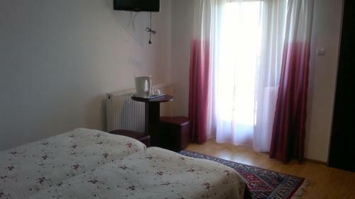 Hostal Pensiunea Elena