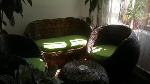 Hostal Pensiunea Elena