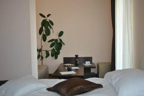 Hostal Pensiunea Queen Mary