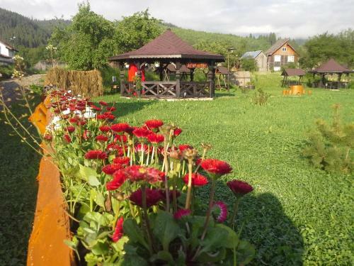 Hostal La Bucovineanca