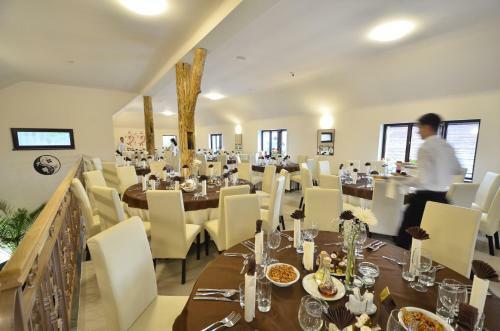 Bed & Breakfast Pensiune Restaurant Flamingo