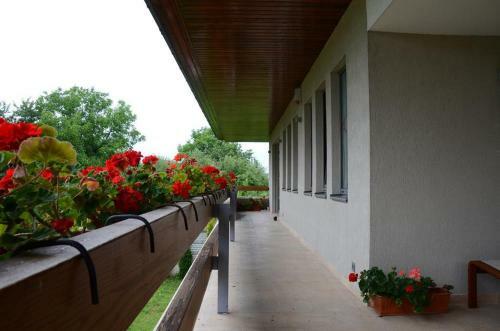 Hostal Pensiunea Konnak