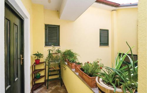 Apartment Novigrad *xxxiii *