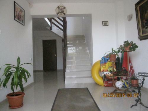 Hostal Vila Talisha