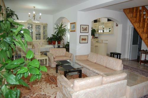 Hostal Vila Dimi
