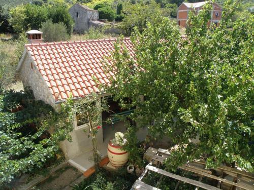 Apartment Pasman 14788c