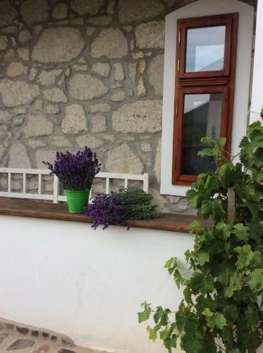 Hostal Vitamin B63 Vend�gh�z