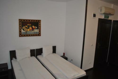 Hotel Taverna Pecicana
