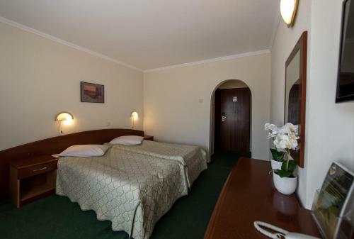 Hotel Silva Busteni