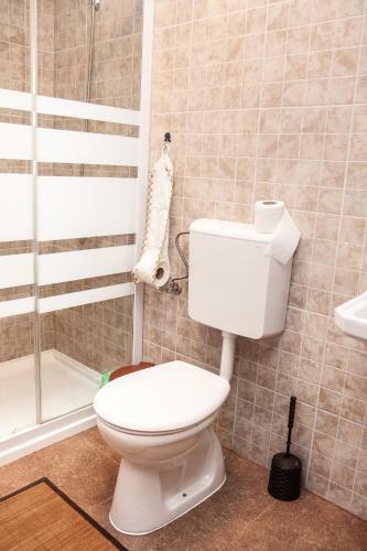 Hostal Rustic Argesean